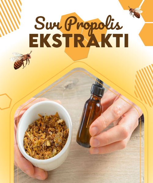 Doğal Propolis